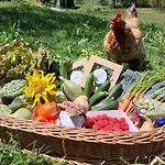 Bed and breakfast B&B Ca Gennara - Porretta Terme, Bologna Apennines 3*