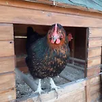 B&B Ca Gennara - Porretta Terme, Bologna Apennines Porretta Terme