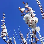 Bed and breakfast B&B Ca Gennara - Porretta Terme, Bologna Apennines