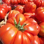 Bed and breakfast B&B Ca Gennara - Porretta Terme, Bologna Apennines Porretta Terme