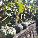B&B Ca Gennara - Porretta Terme, Bologna Apennines 3*