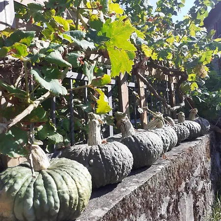 Cà Gennara Agri 3*