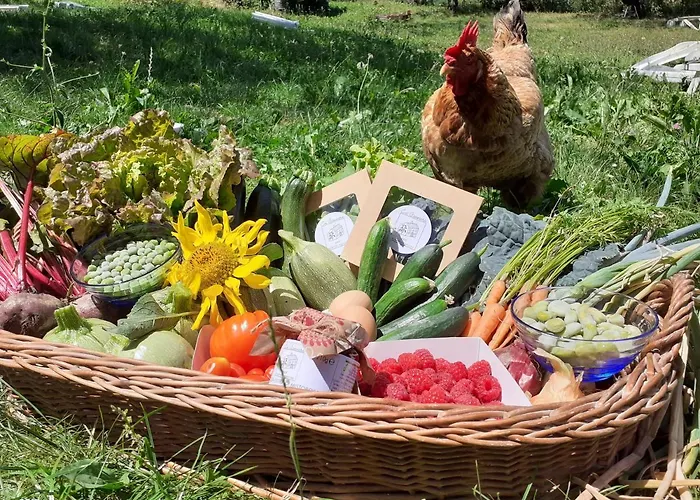 Bed & Breakfast Ca Gennara Agri 3*