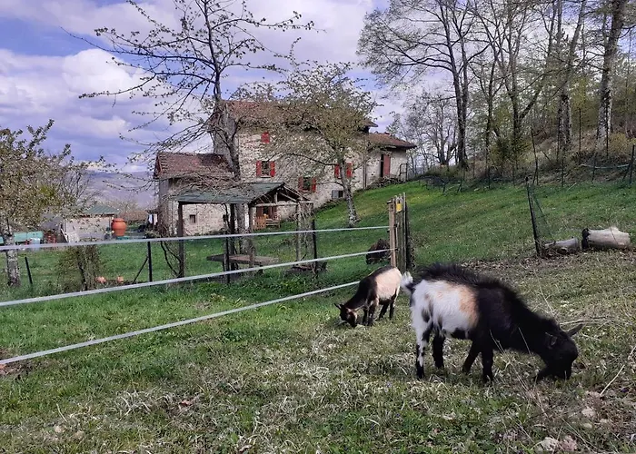 Ca Gennara Agri Bed & Breakfast 3*