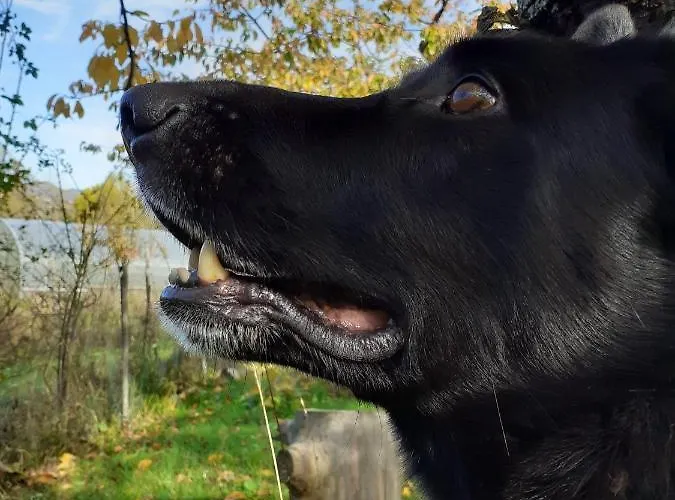 Ca Gennara Agri Bed & Breakfast Porretta Terme