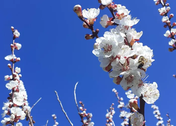 Bed & Breakfast Ca Gennara Agri