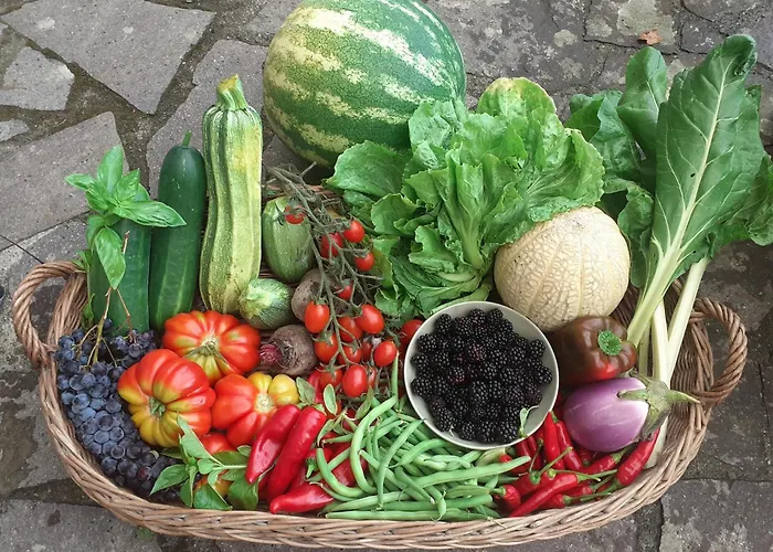 Ca Gennara Agri Bed & Breakfast Porretta Terme