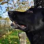 B&B Ca Gennara - Porretta Terme, Bologna Apennines Bed & Breakfast Porretta Terme