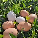 B&B Ca Gennara - Porretta Terme, Bologna Apennines Porretta Terme