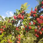 Nocleg ze śniadaniem B&B Ca Gennara - Porretta Terme, Bologna Apennines 3*