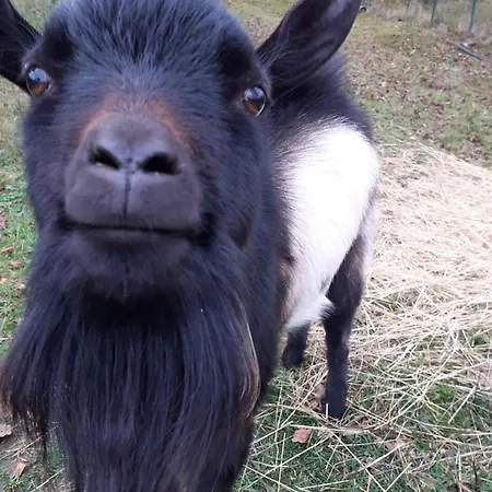 Ca Gennara Agri 3* Porretta Terme