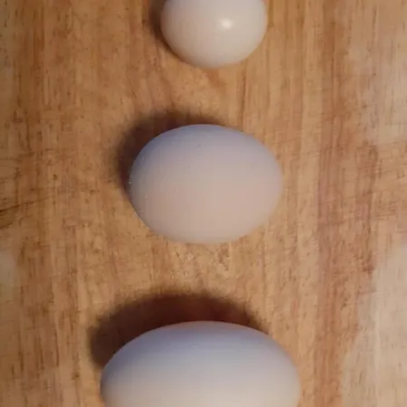 Ca Gennara Agri 3* Porretta Terme