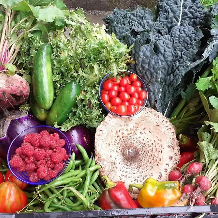 Ca Gennara Agri Отель типа 