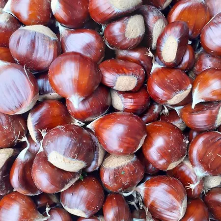 Ca Gennara Agri