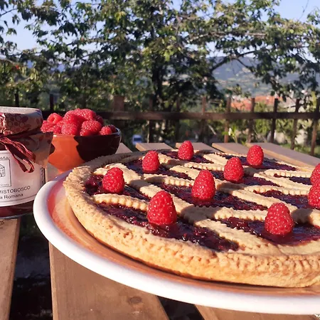 Ca Gennara Agri Oda ve Kahvaltı Porretta Terme