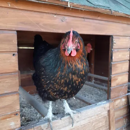 Cà Gennara Agri Porretta Terme