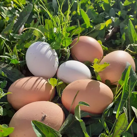 Cà Gennara Agri Porretta Terme