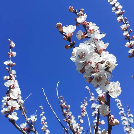 Bed and breakfast Agri Ca' Gennara