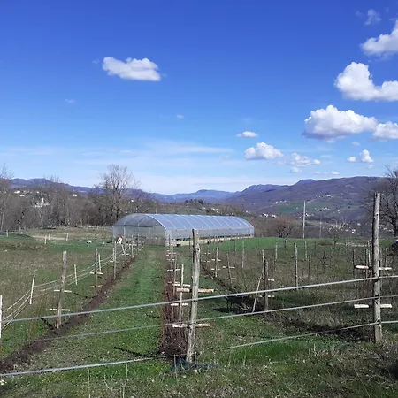 Ca Gennara Agri Bed and Breakfast 3*