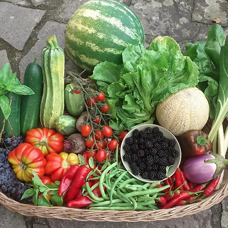 Ca Gennara Agri Bed & Breakfast Porretta Terme