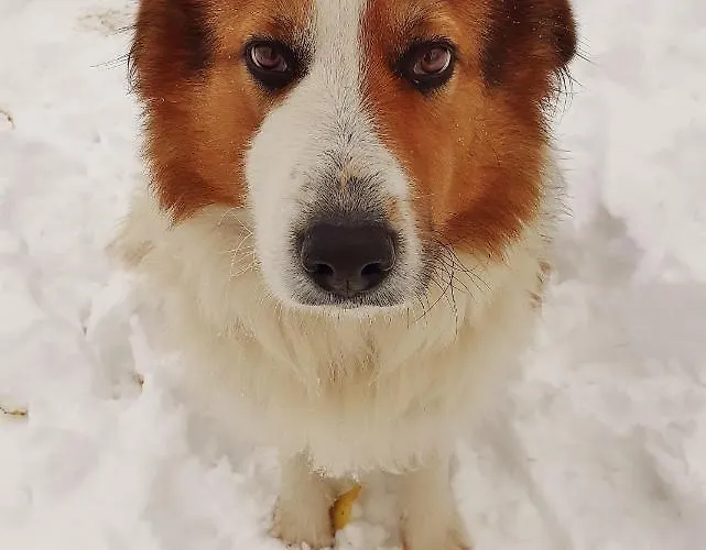 Bed & Breakfast Ca Gennara Agri