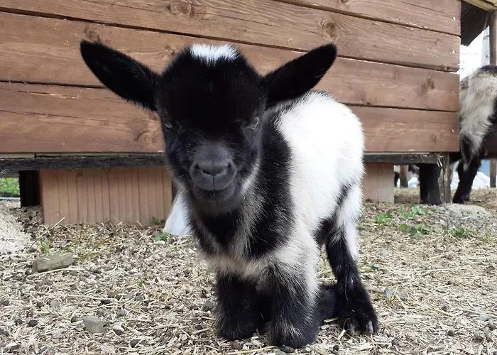 Ca Gennara Agri 3* Porretta Terme