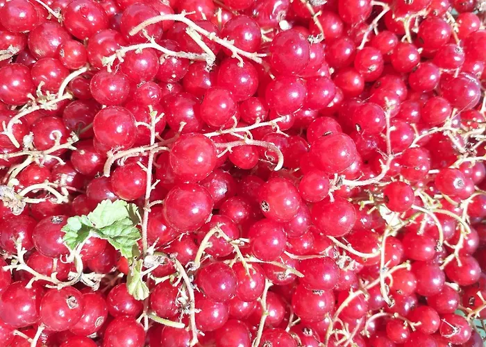 Bed and Breakfast Ca Gennara Agri