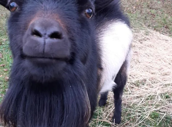 Ca Gennara Agri 3* Porretta Terme