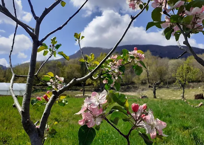 Ca Gennara Agri Bed and Breakfast