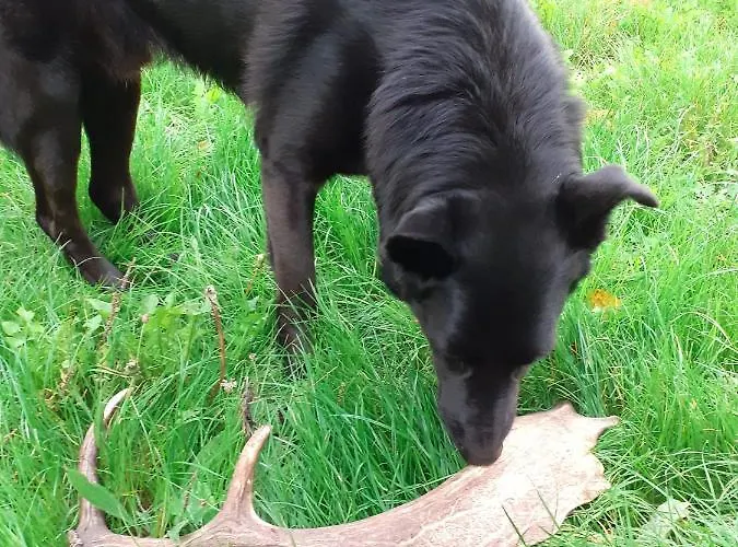 Ca Gennara Agri Bed and Breakfast