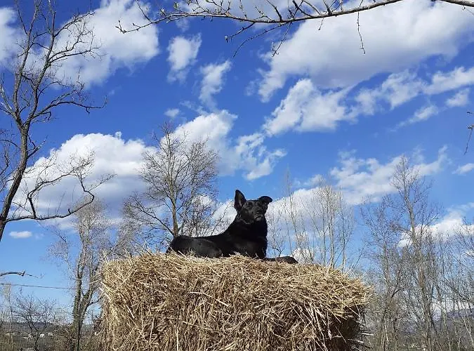 Ca Gennara Agri 3* Porretta Terme