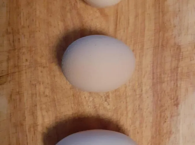 Ca Gennara Agri 3* Porretta Terme