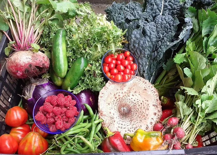 Ca Gennara Agri Bed and Breakfast 3*