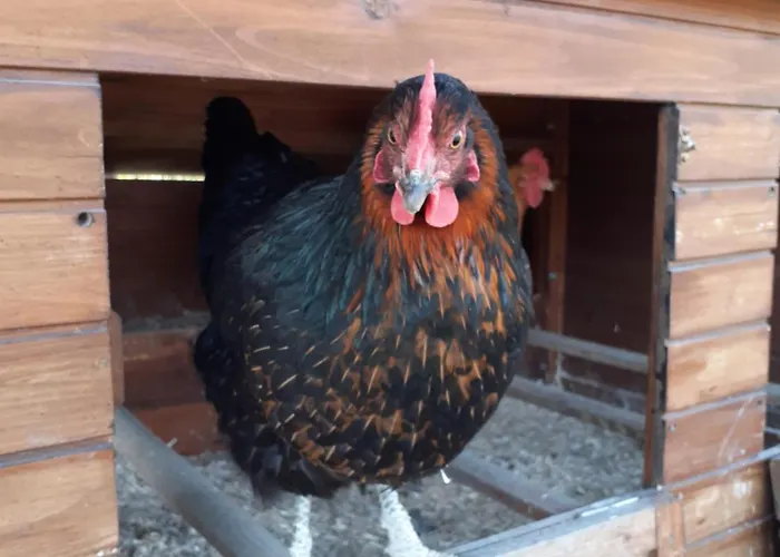 Ca Gennara Agri Porretta Terme