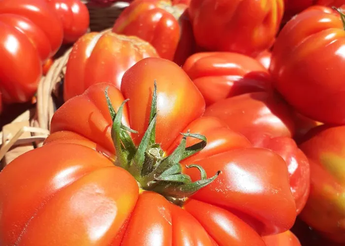 Bed & Breakfast Ca Gennara Agri Porretta Terme