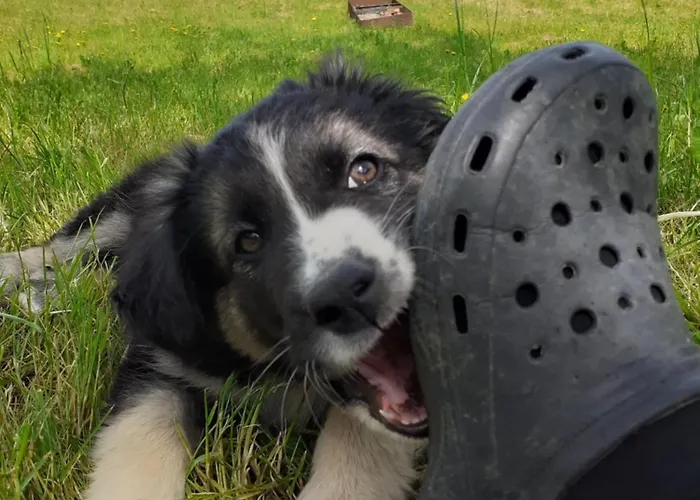 Ca Gennara Agri 3* Porretta Terme