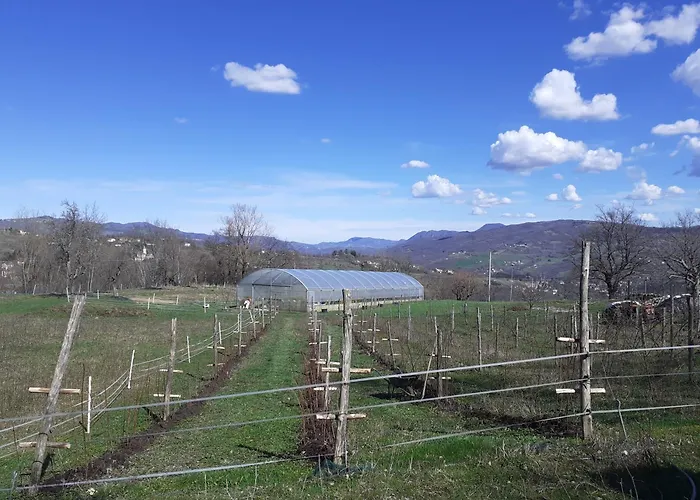 Ca Gennara Agri Bed and Breakfast 3*