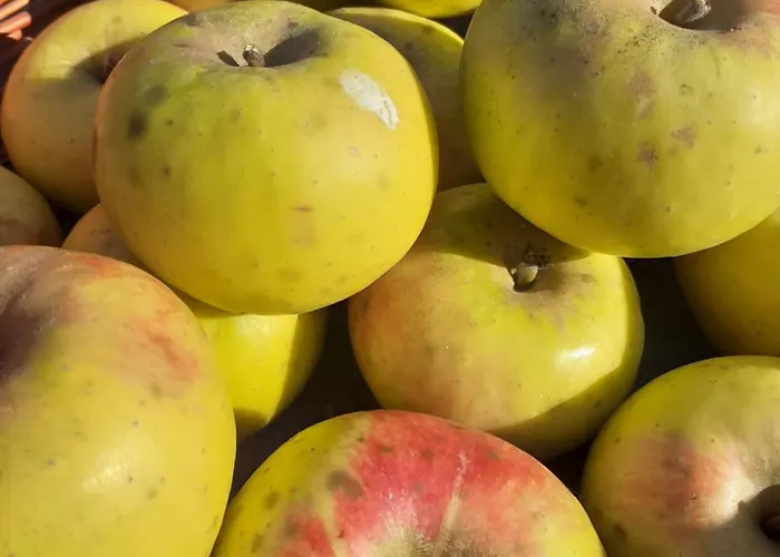 Ca Gennara Agri Bed & Breakfast Porretta Terme