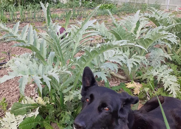 Ca Gennara Agri Porretta Terme