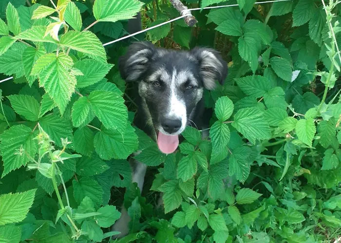 Ca Gennara Agri Porretta Terme